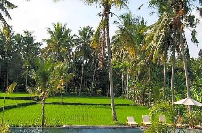 Bhanuswari & Hotel 4*