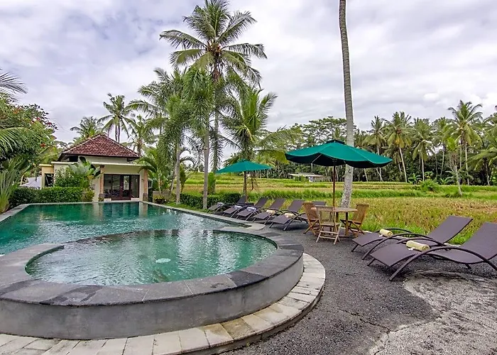 Hotel Bhanuswari & Ubud (Bali)